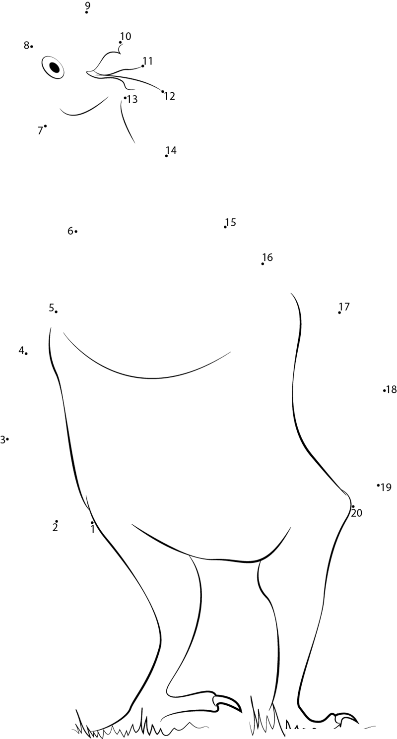 Old Baby Racing Pigeon dot to dot worksheets