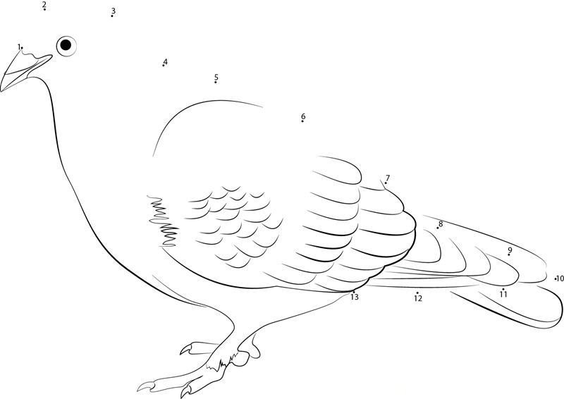 Outlaw Horrific Live Pigeon dot to dot worksheets