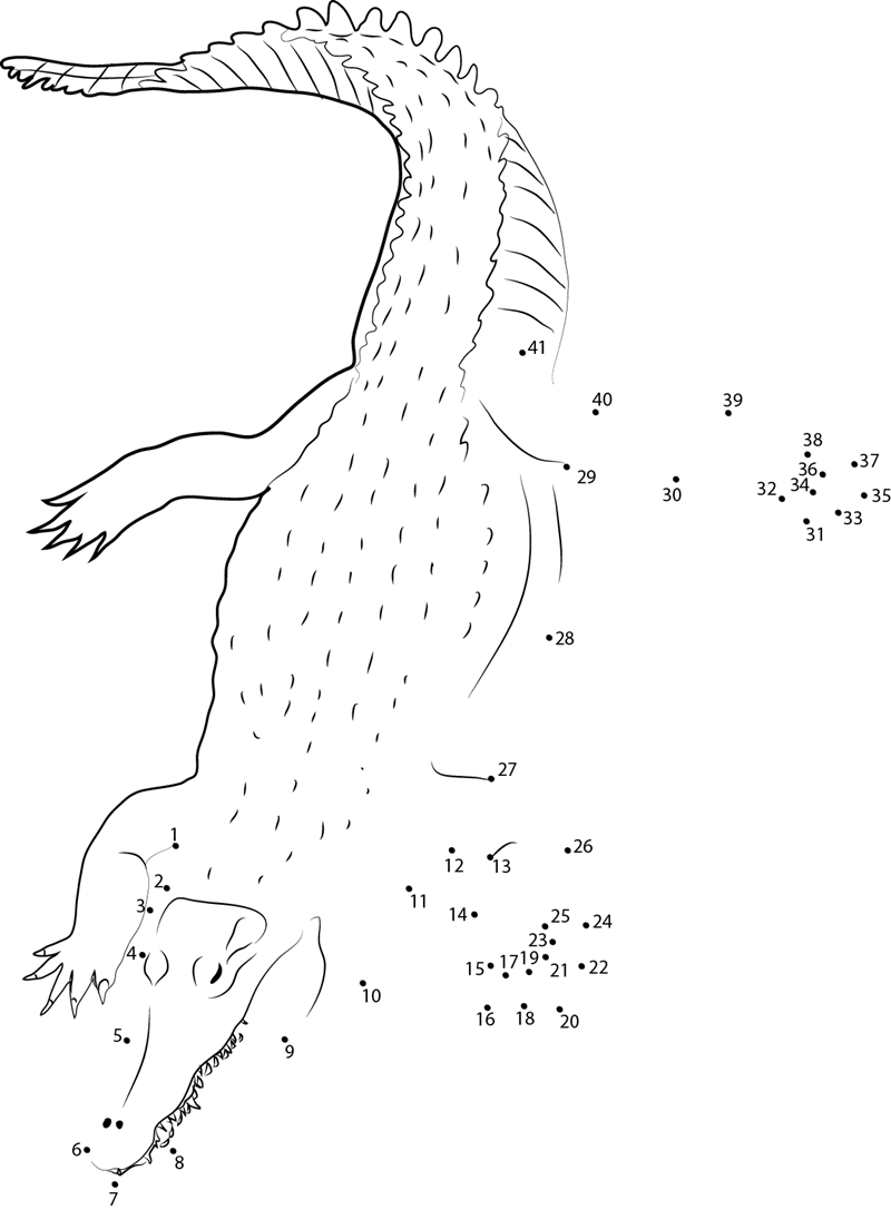 Nile Crocodile dot to dot worksheets