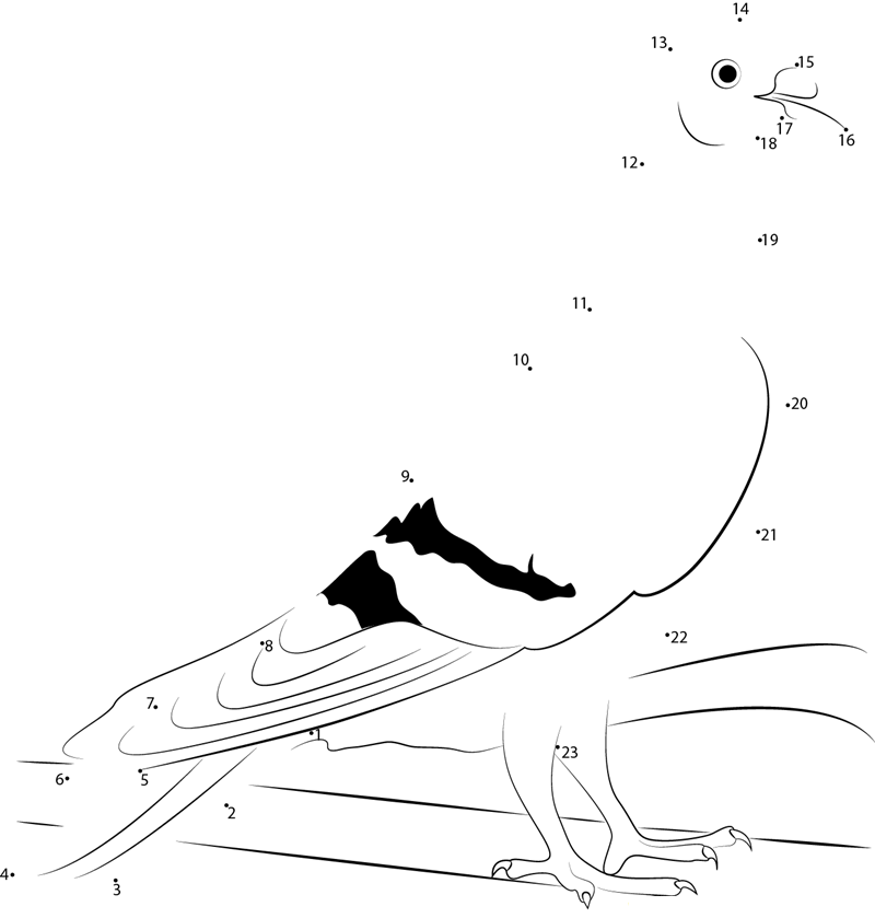 Pigeon Sitting On Car Bonnet dot to dot worksheets