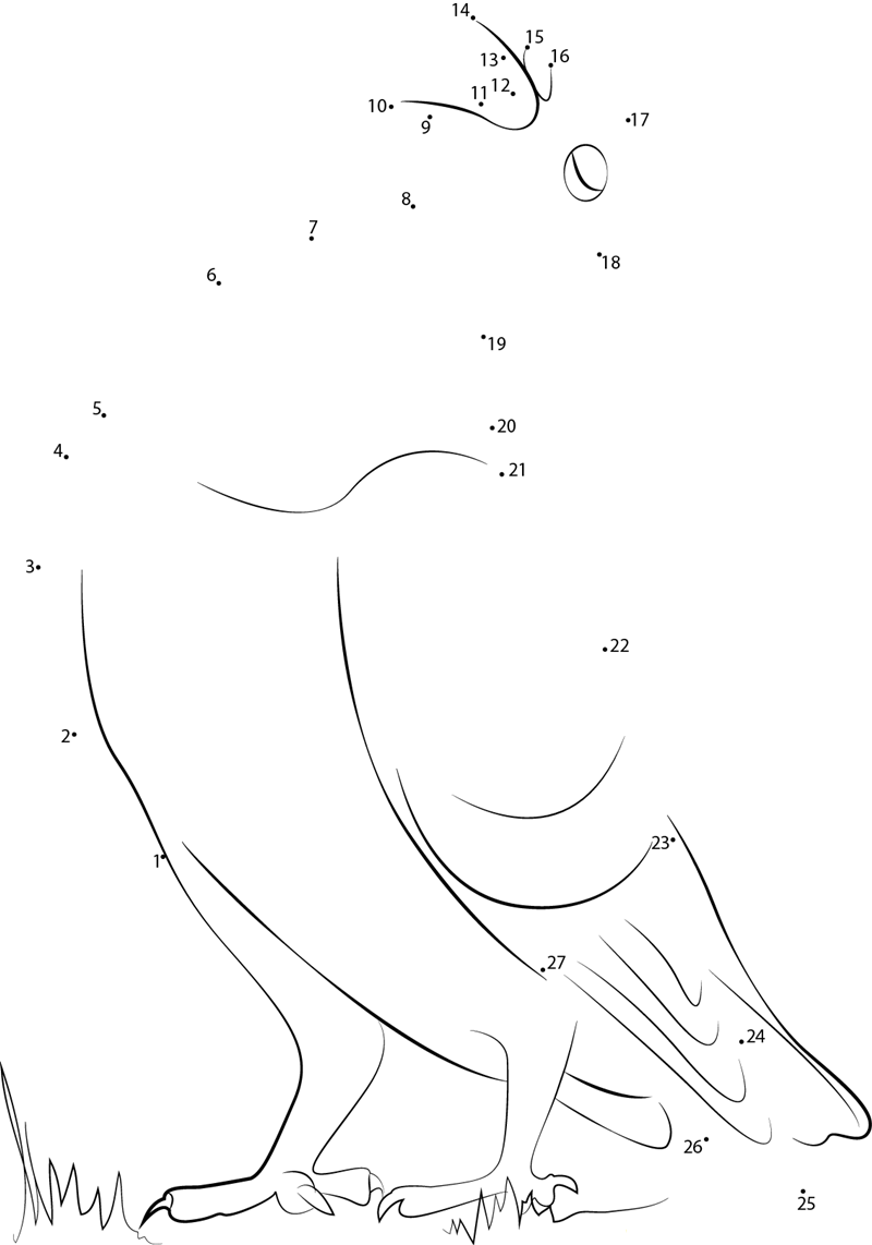 Pigeon Standing On Grass dot to dot worksheets