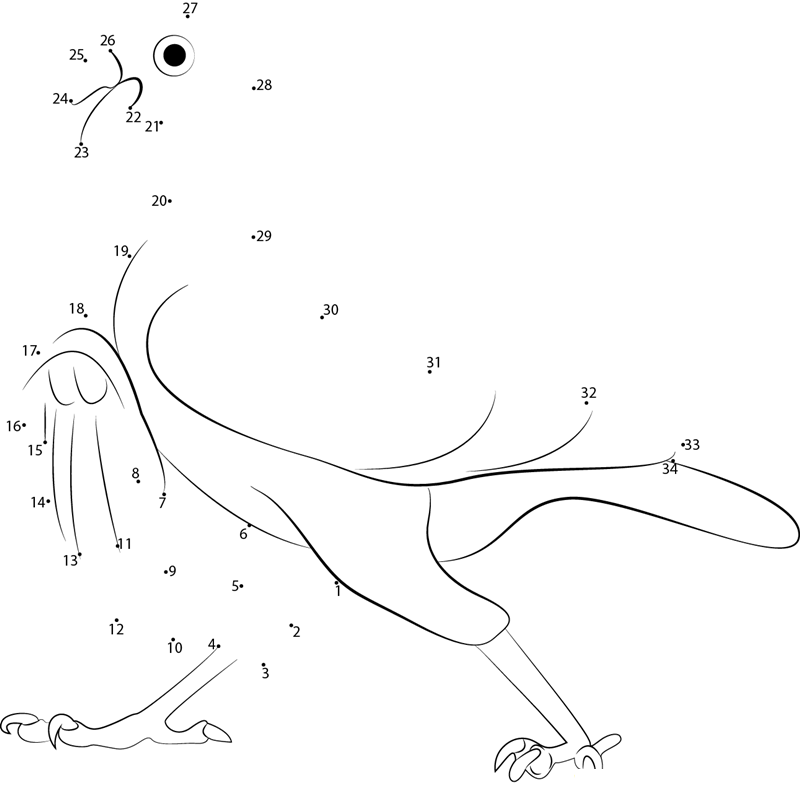 Pigeon Walking With Attitude dot to dot worksheets