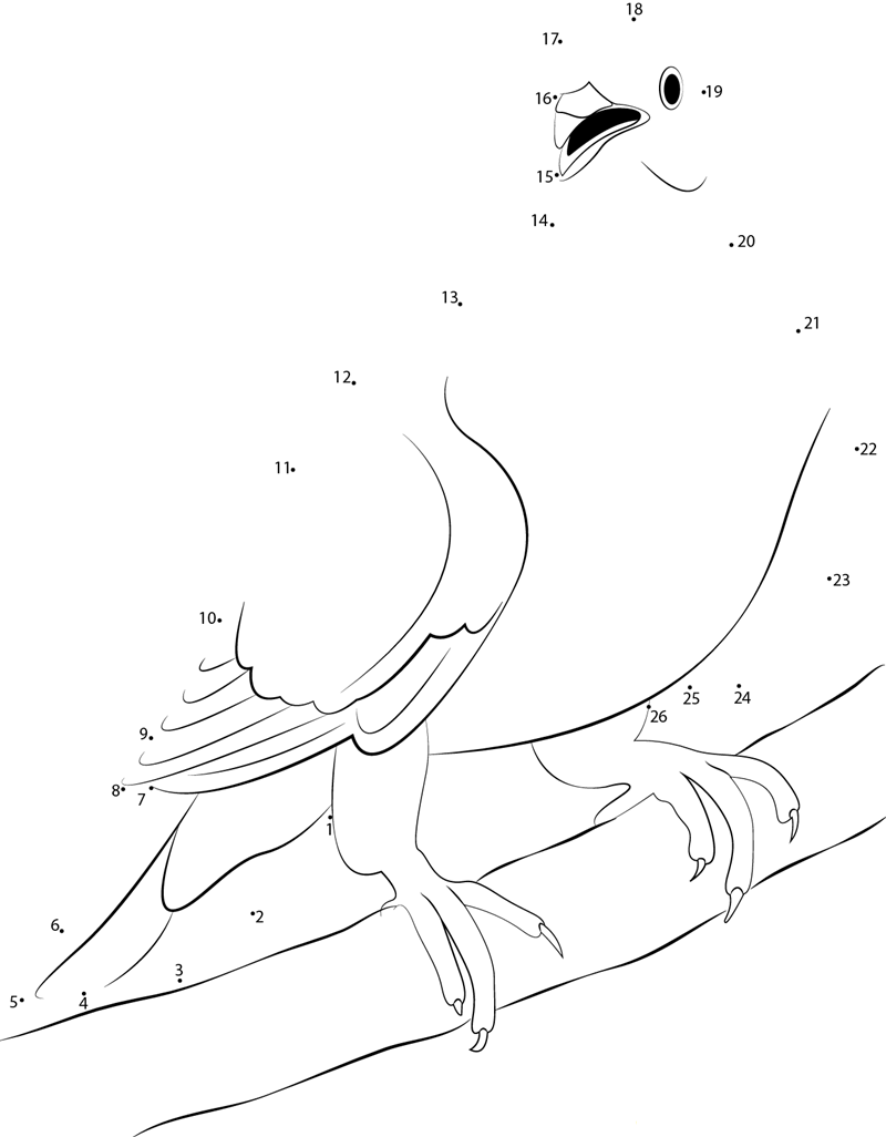 Pigeons Attacking printable dot to dot worksheet