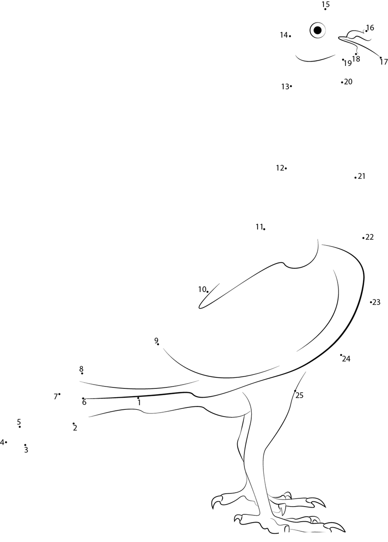 Pigeons Champion printable dot to dot worksheet