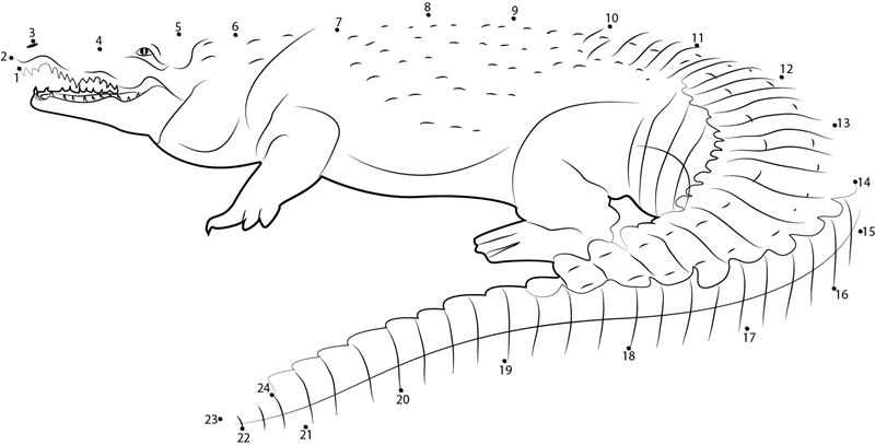 Orinoco Crocodile Colombia printable dot to dot worksheet