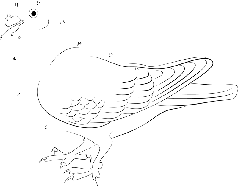 Serbian High Flyer Pigeon printable dot to dot worksheet