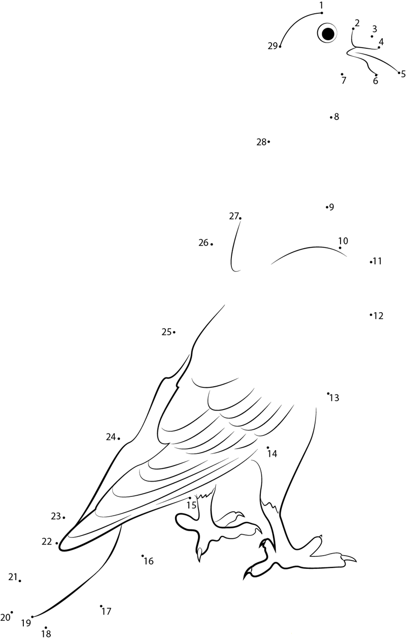 Snow Pigeon dot to dot worksheets