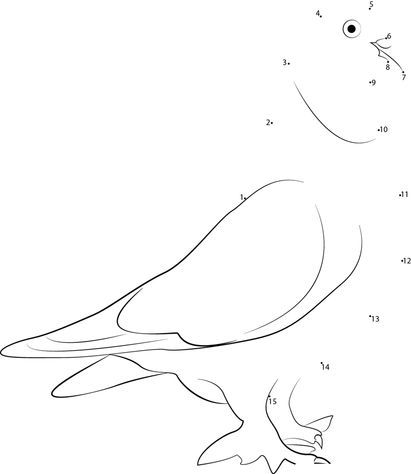 Speckled Pigeon dot to dot worksheets