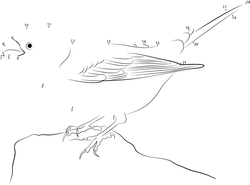 Beautiful Pine Grosbeak dot to dot worksheets