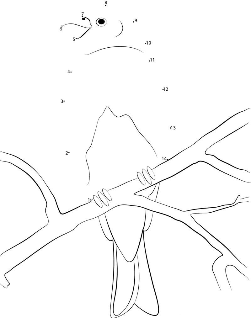 Immature Male Pine Grosbeak printable dot to dot worksheet