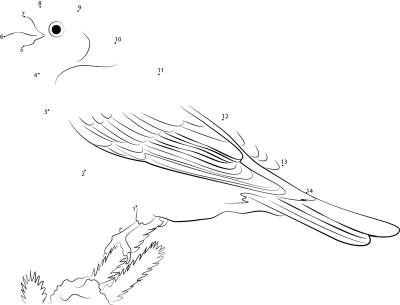 Julevian Pine Grosbeak dot to dot worksheets