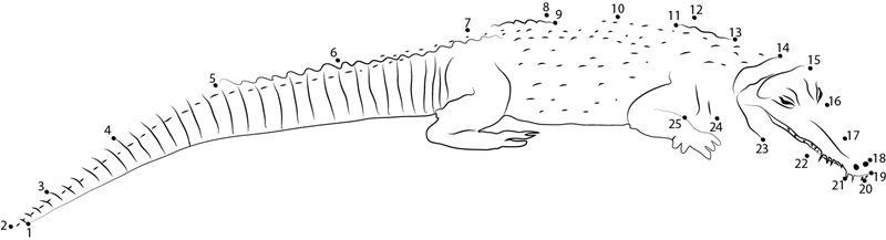 Snouted Crocodile printable dot to dot worksheet