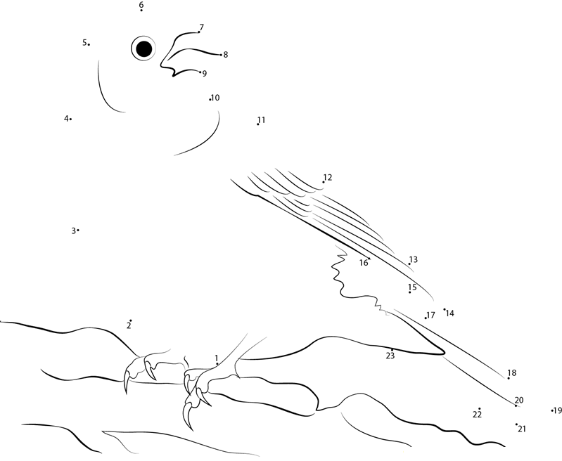 Large Pine Grosbeak dot to dot worksheets