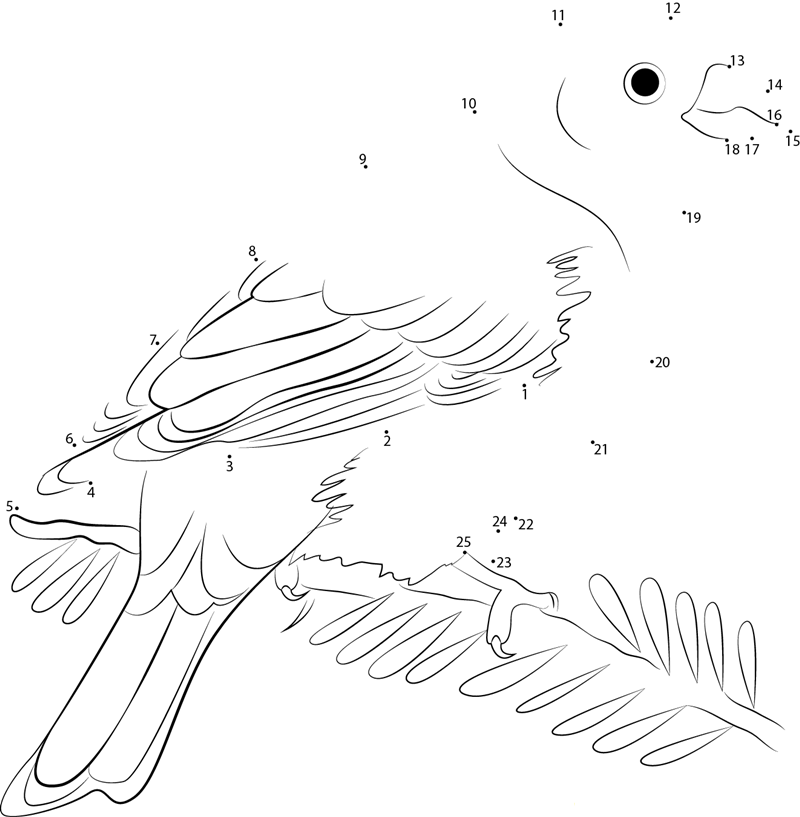 Nice Pine Grosbeak dot to dot worksheets