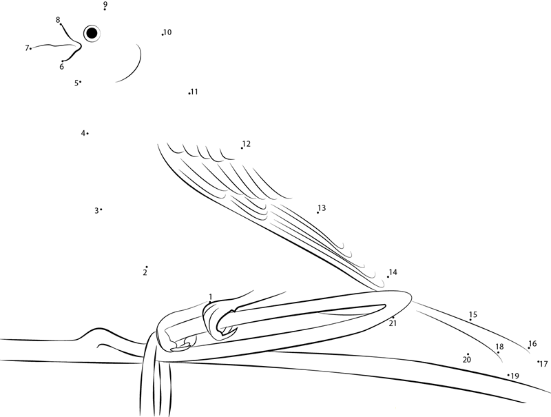 Pine Grosbeak dot to dot worksheets