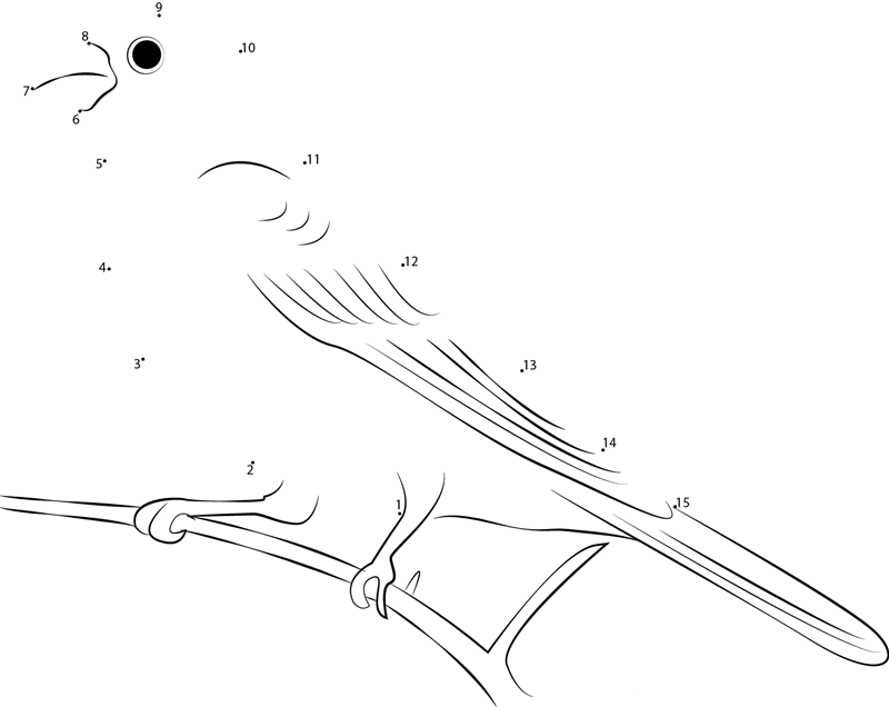 Pine Grosbeak Heavychested Bird dot to dot worksheets