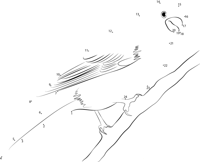 Pine Grosbeak In Boreal Forests printable dot to dot worksheet