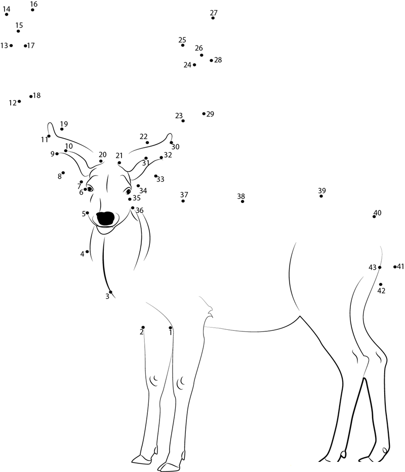 Beautiful Deer dot to dot worksheets