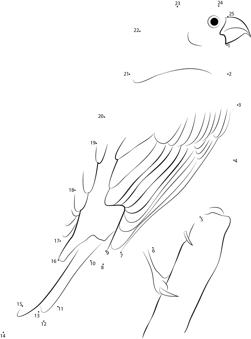 Pine Grosbeak Landing Rest printable dot to dot worksheet