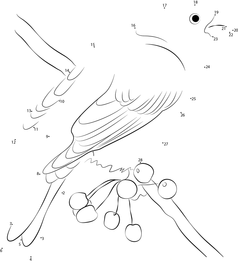 Pine Grosbeak Sitting On Berries Tree dot to dot worksheets