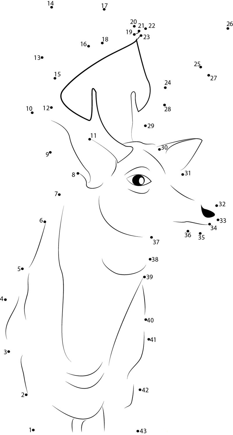 Buck Deer dot to dot worksheets