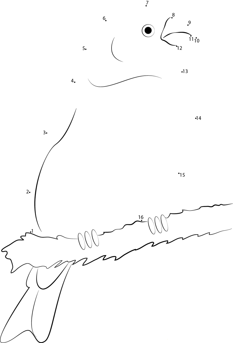 Red Pine Grosbeak printable dot to dot worksheet