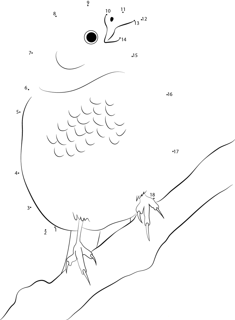 Small Pine Grosbeak dot to dot worksheets