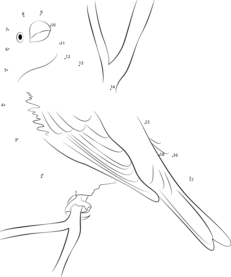 Unwary Finch dot to dot worksheets