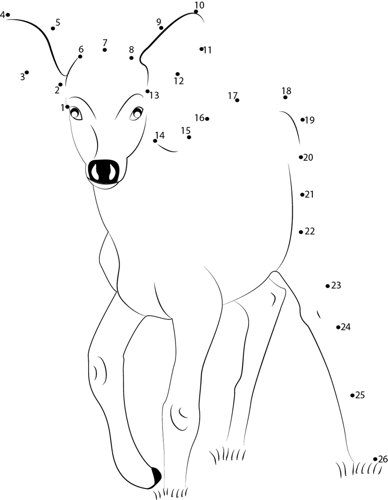 Deer Baby dot to dot worksheets