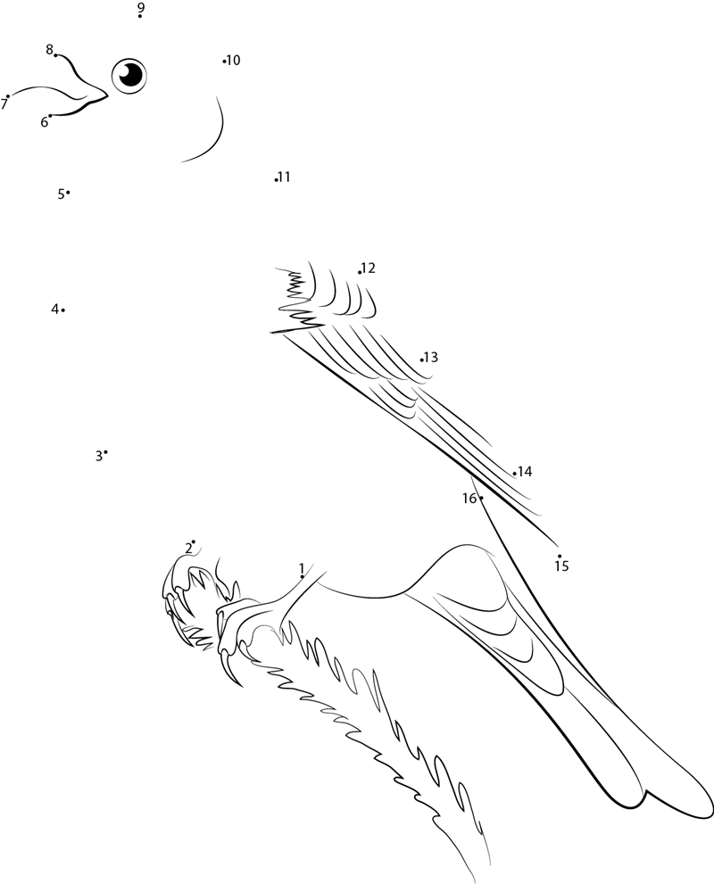 Winter Pine Grosbeak dot to dot worksheets