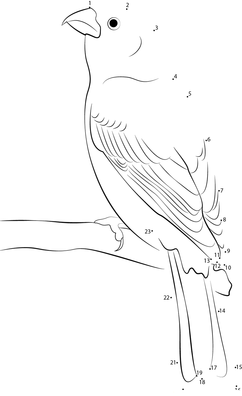 Wonderful Pine Grosbeak printable dot to dot worksheet