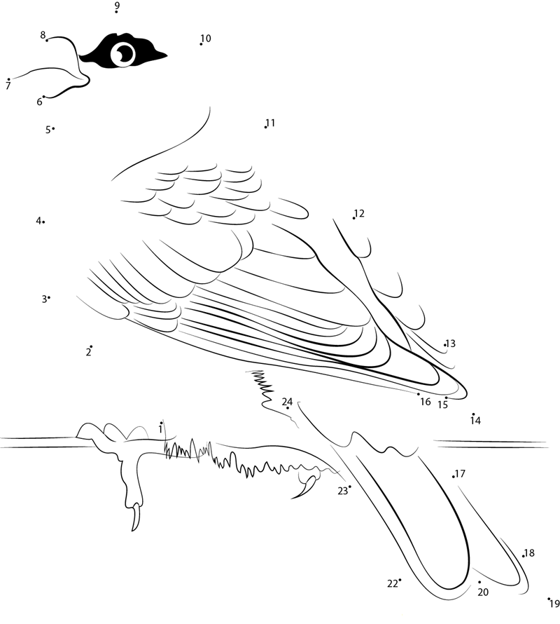 Young Pine Grosbeak printable dot to dot worksheet