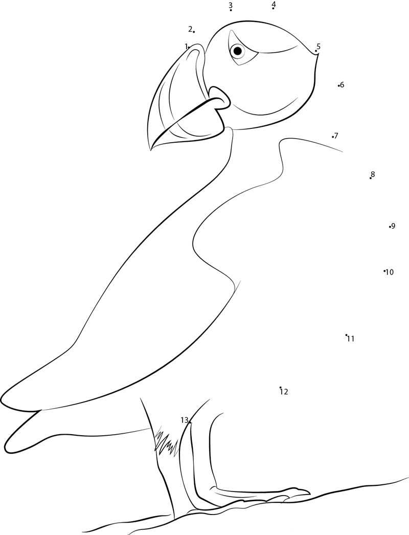 Atlantic Puffin Bird Watching printable dot to dot worksheet