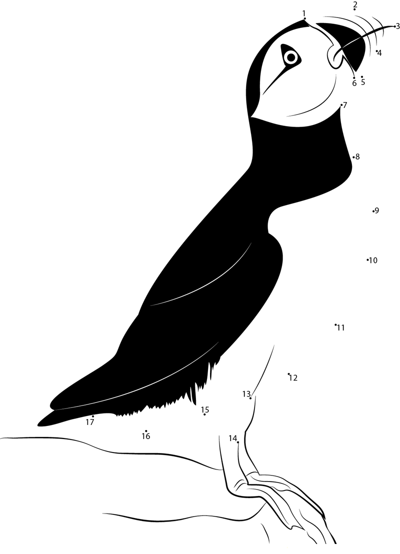 Cute Seabird printable dot to dot worksheet