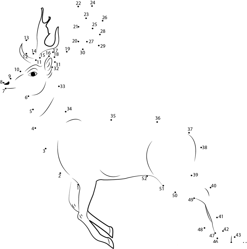 Deer Running dot to dot worksheets