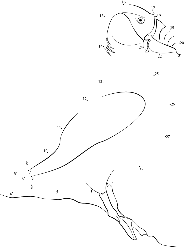 Fratercula printable dot to dot worksheet