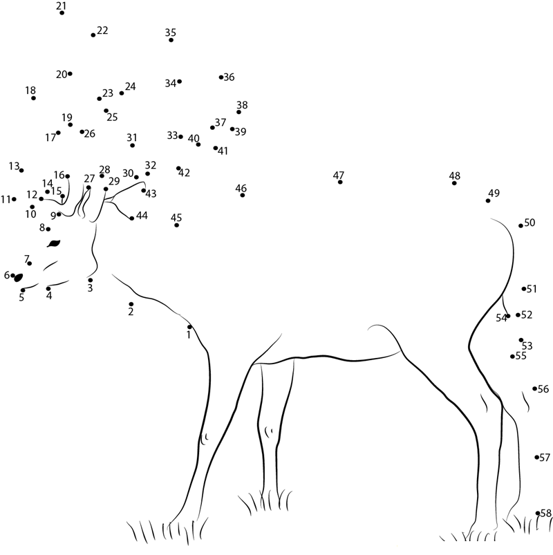 Deer Standing On Grass dot to dot worksheets