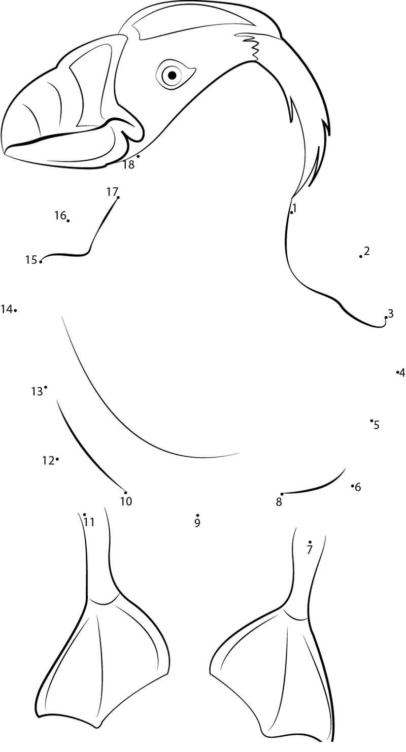 Puffin In Henry Doorly Zoo printable dot to dot worksheet