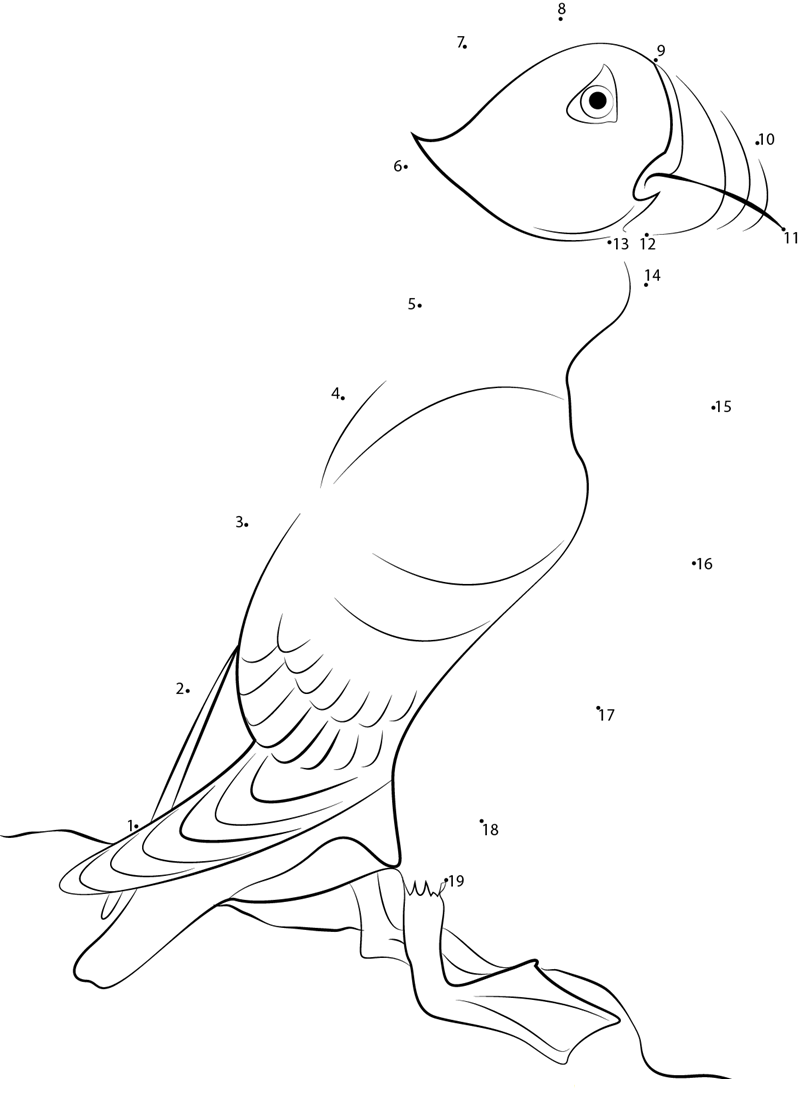 Puffin Standing Alone dot to dot worksheets