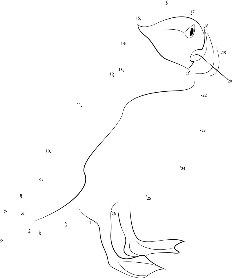 Puffins Stands On A Cliff Top printable dot to dot worksheet