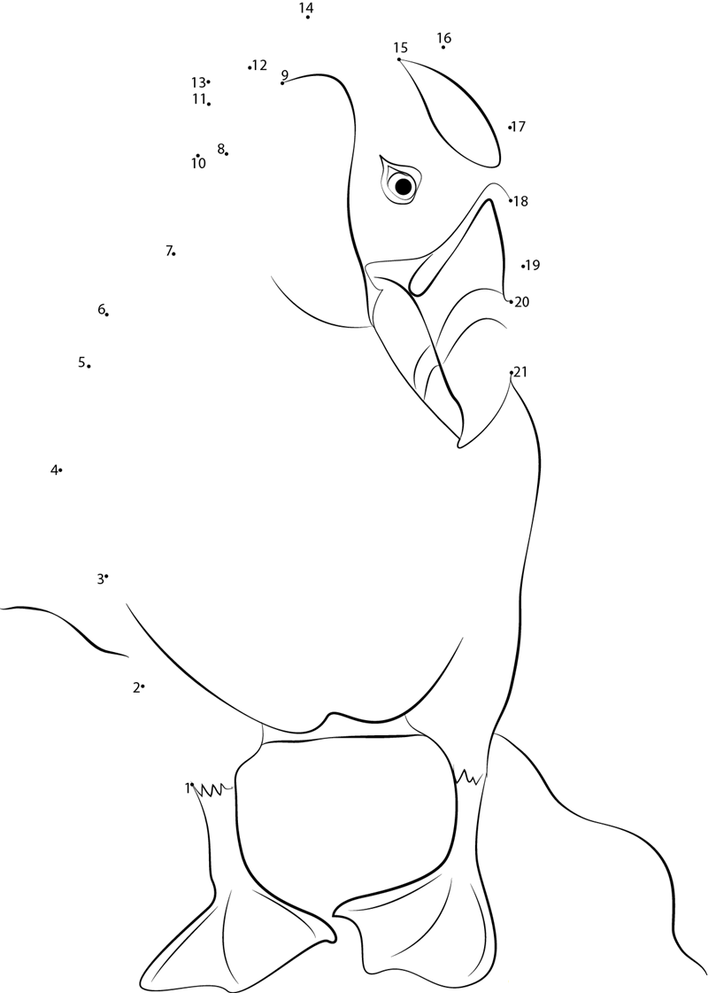 Tufted Puffin With Breeding Plumage dot to dot worksheets