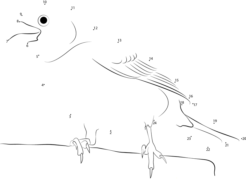 Close Up Purple Finch printable dot to dot worksheet