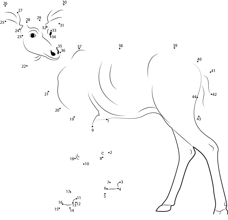 Female Deer dot to dot worksheets