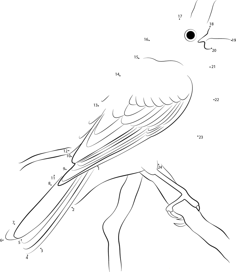 Cute Purple Finch printable dot to dot worksheet