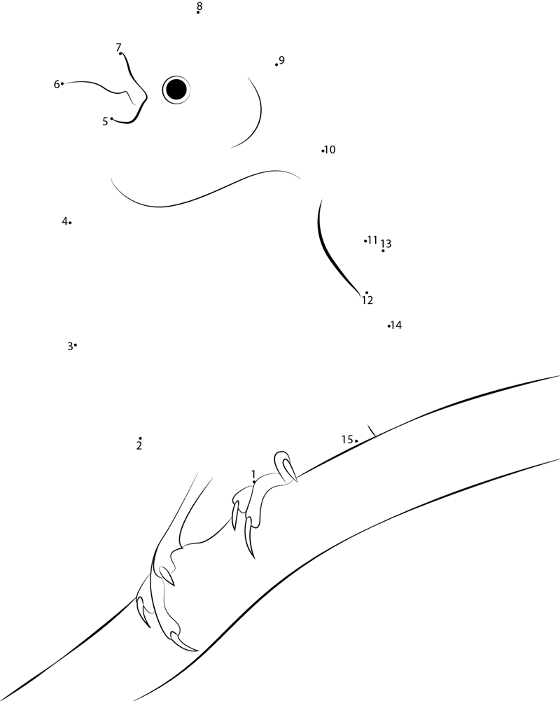 Eastern Purple Finch printable dot to dot worksheet