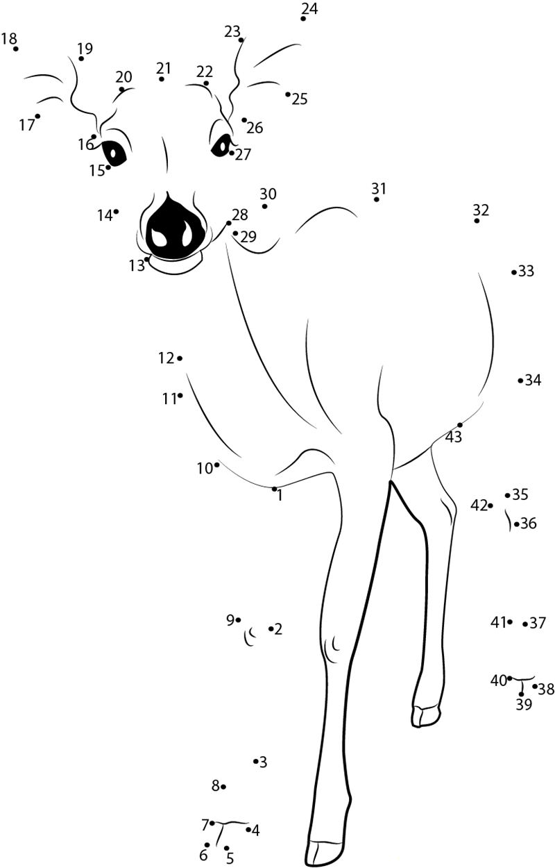 Formosan Sika Deer dot to dot worksheets