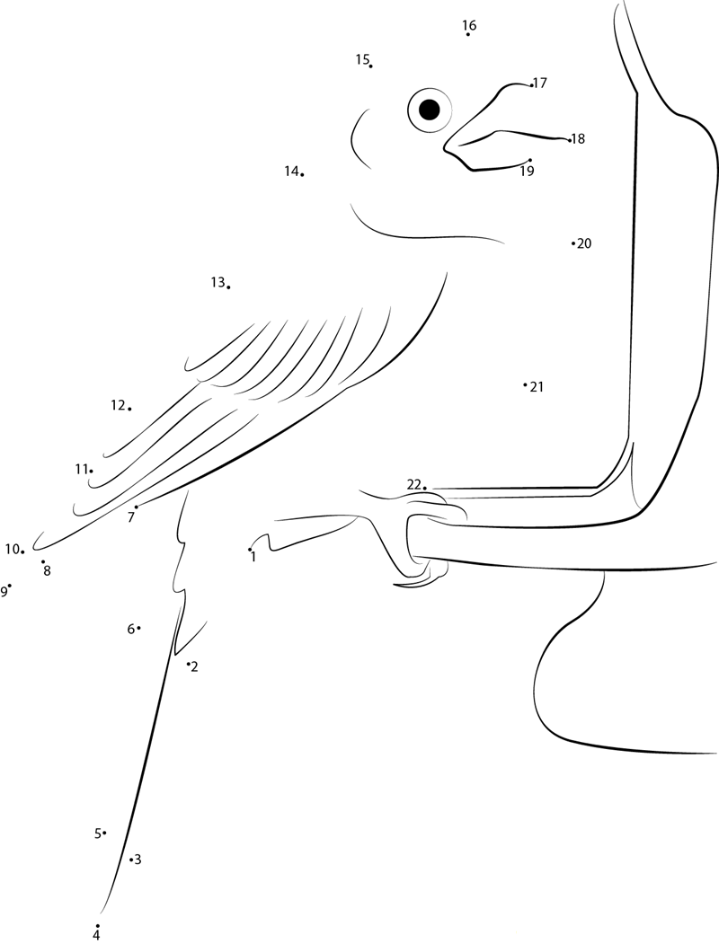 House Finch printable dot to dot worksheet