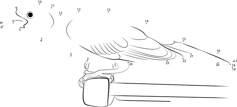 Juvenile Male Purple Finch dot to dot worksheets