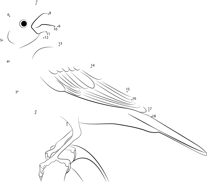 Purple Finch At Ottawa Ontario printable dot to dot worksheet