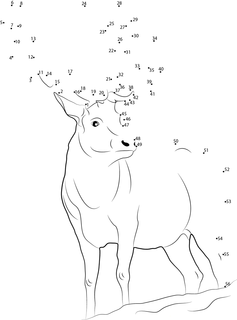 Looking Deer dot to dot worksheets